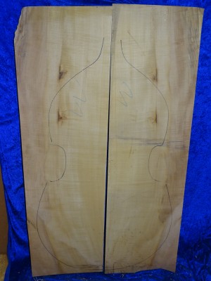 maple 2411
