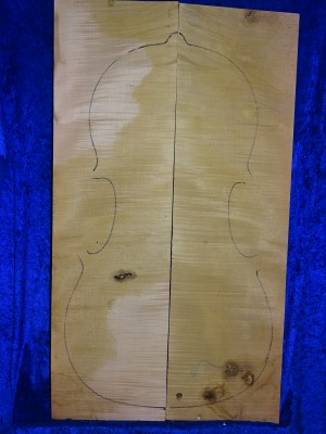 Maple 2490 Cello