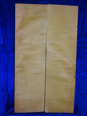Maple 2490 Cello