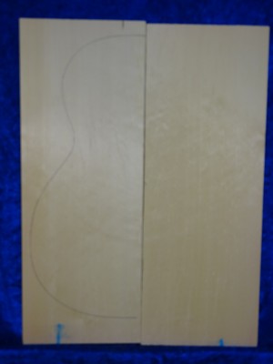 Fichte 2526 Gitarre Hasel