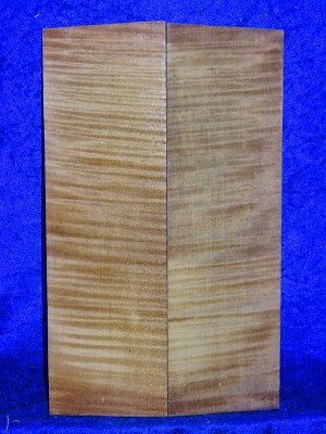 maple 2590 from estate