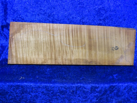 maple 2592 from estate min 50 years
