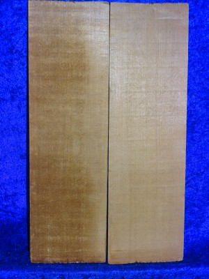 alte Fichte 2605 aus Nachlass
