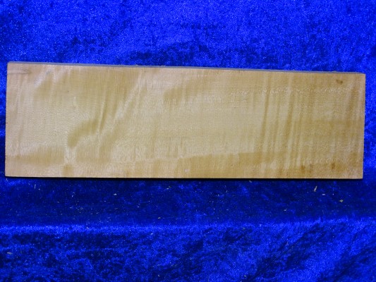 Ahorn 2666