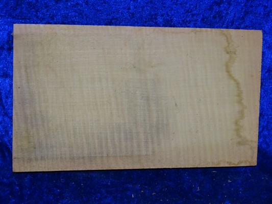 Ganzer Boden 2784 1/2