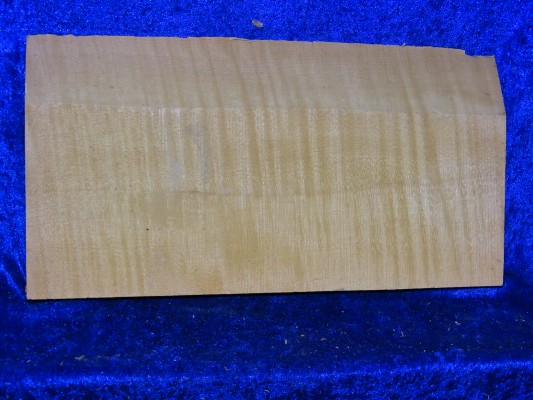 ganzer Ahorn 2785 3/4