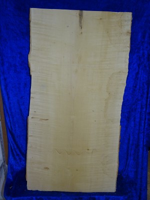 ganzes Cello 2803