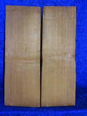 from estate: old Split spruce 2815