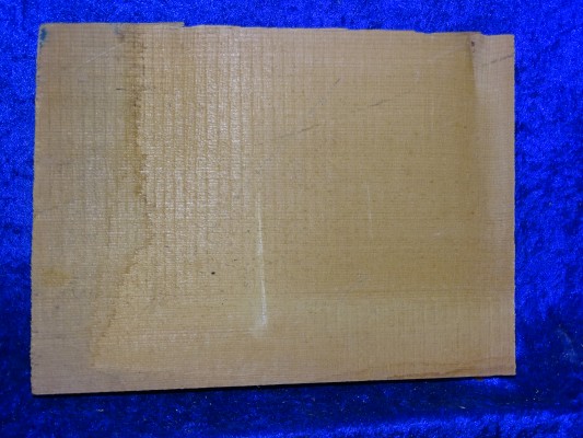 ganze Fichte 2829 aus Nachlass