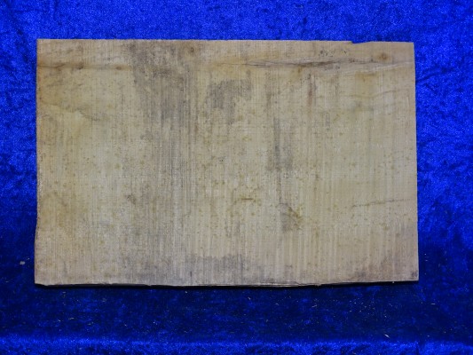 ganzer Ahorn 2847