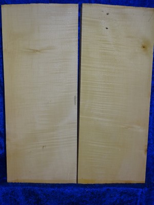 Ahorn 2856 Gitarre