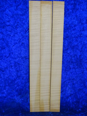 old Violinribs 2969