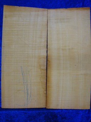 Ahorn 2987  Gitarre Nachlass