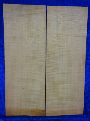 Ahorn 2989  Gitarre Nachlass