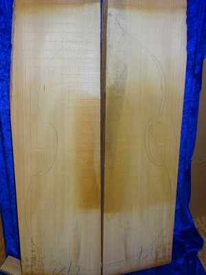 Fichte 2991 Bass