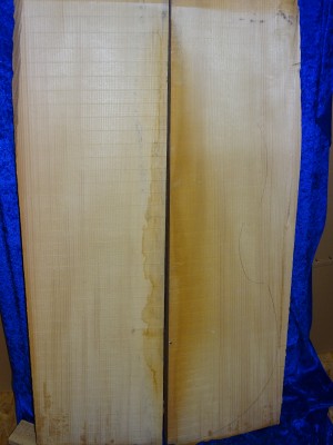 Fichte 2991 Bass