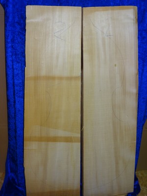 Fichte 2992 Bass