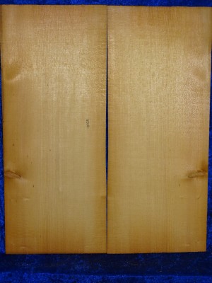 Fichte 3057 Gitarre Nachlass