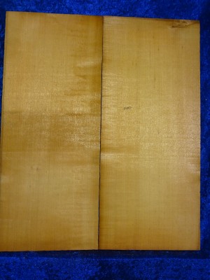 Fichte 3062 Gitarre Nachlass