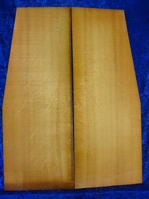 Spruce 3065 Guitar estate bearclaw