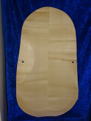 carved old cello back 3086