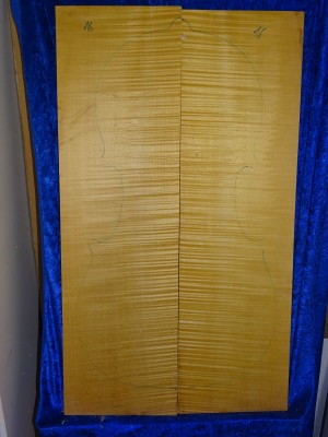 Maple 3343 Cello
