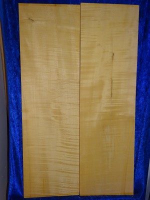 Maple 3131 Cello