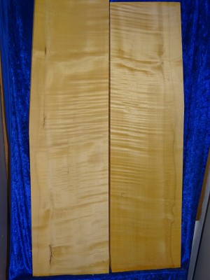 Ahorn 3132 Cello