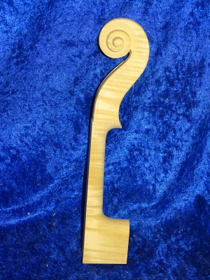 Violinneck 3136 from estate
