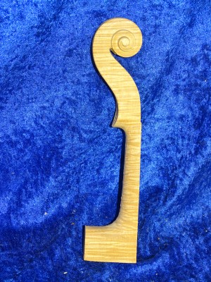 Geigenhals 3147 beste Qualität