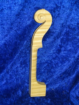 Violinneck 3154 best quality