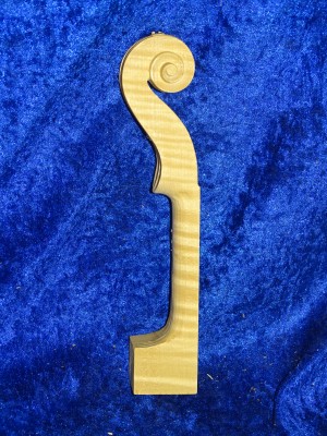 Violinneck 3154 best quality