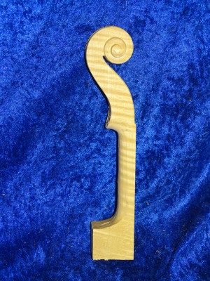 Violinneck 3156 best quality