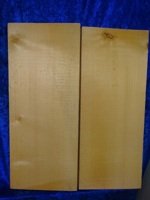 alte Fichte 3169