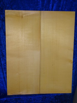 alte Fichte 3170