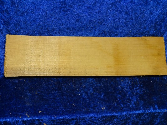 alte gespaltene Fichte 3179
