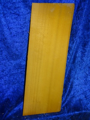 very old spruce 3184