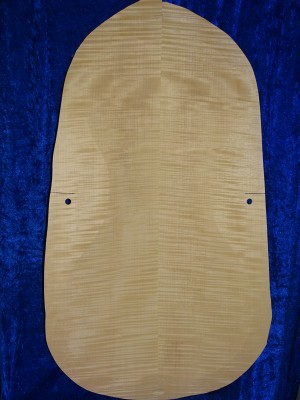 carved old cello back 3231