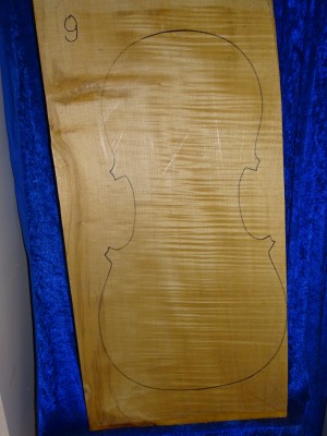 ganzes Cello 3287