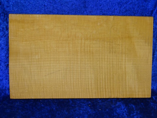 ganzer Ahorn 3292 aus Nachlass