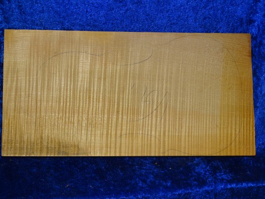 ganzer Ahorn 3294 aus Nachlass
