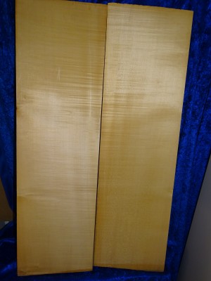 Ahorn 3299 aus Nachlass