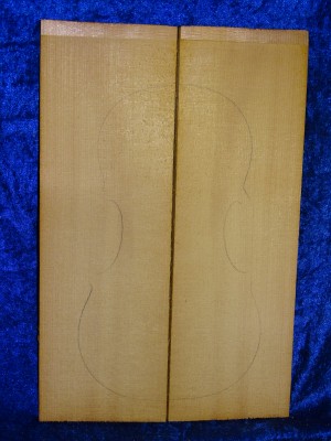 alte Fichte 3316 aus Nachlass