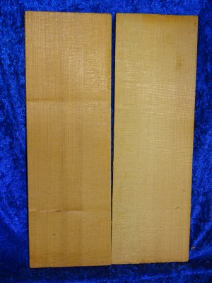 alte Fichte 3316 aus Nachlass