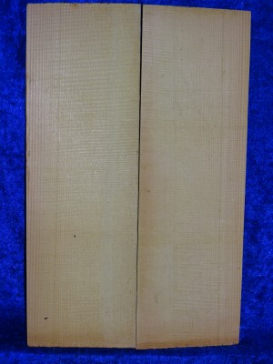 alte Fichte 3319 aus Nachlass