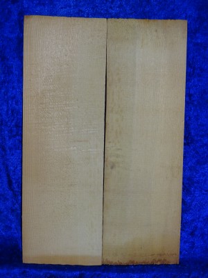 alte Fichte 3321 aus Nachlass