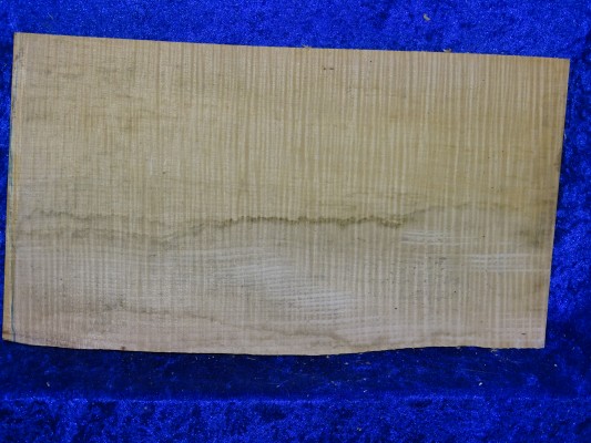 Ganzer Viola Boden 3342