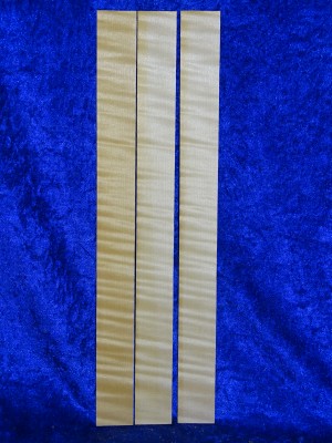 alte Geigenzargen 3363