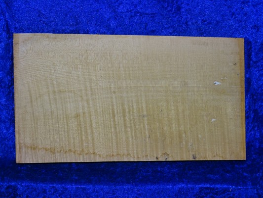 ganzer Boden 3433 top Qualität