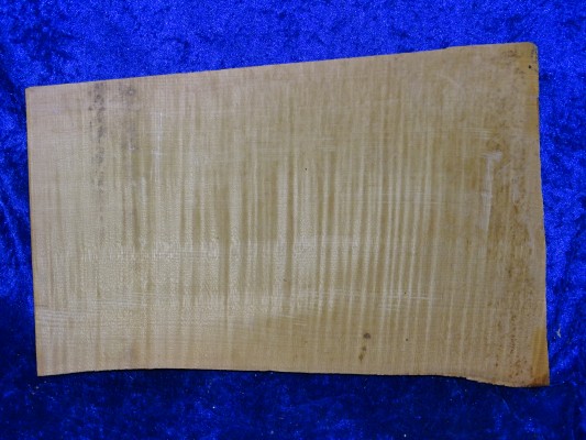 Ganzer Boden 3436 top